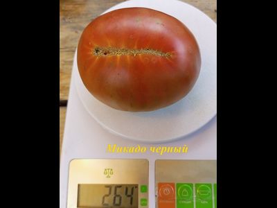 Томат Микадо черный