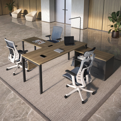 Кабинет руководителя EVOLUTION