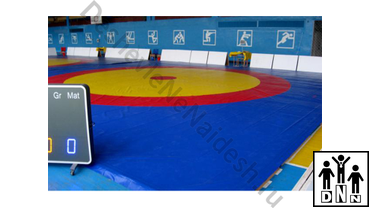 борцовский ковер