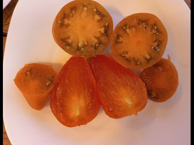 Томат Суровая Дыня немцев Поволжья (Severe Melon)