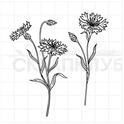 Штамп цветы ромашки