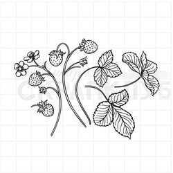 Штамп листья и ягоды земляники