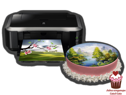 ПИЩЕВАЯ ПЕЧАТЬ