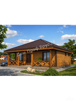 odnoetazhnie-doma-iz-profilirovannogo-drusa-polluks