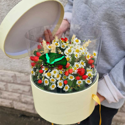 Ромашки с бабочками №92