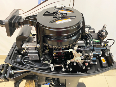 Лодочный мотор ALLFA CG T9.9BWS MAX подзарядка