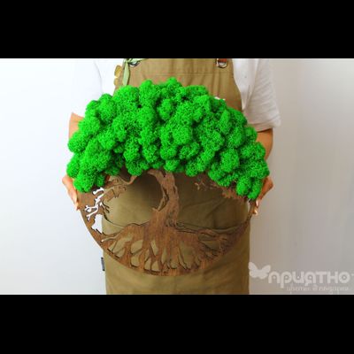 ЖИВАЯ ЭКО-КАРТИНА 1025