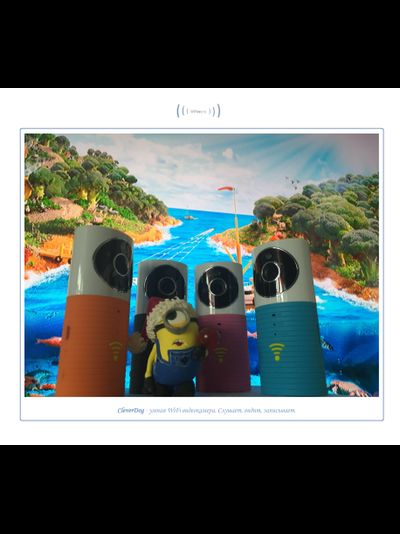 Видеоняня /WiFi видеокамера CleverDog с DVR