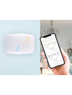 Терморегулятор двухзонный BiZone