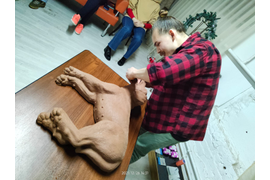 Первая помощь животным (собакам и кошкам)