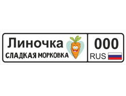 Номер на детскую коляску Линочка