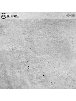 Фотофон виниловый «Кант»