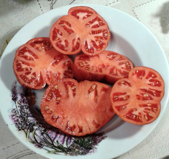 Семена томата Убеждение