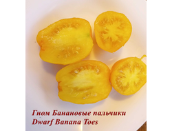 Томат гном Банановые пальчики (Banana Toes Tomato)