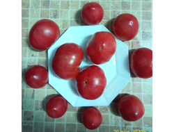 Томат Роза Техаса