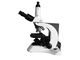 Миктрон 800 - микроскоп биологический тринокулярный