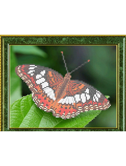 Ленточница, К4147