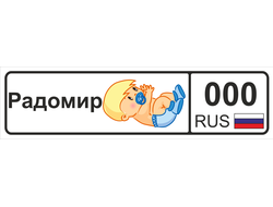 Номер на детскую коляску Радомир