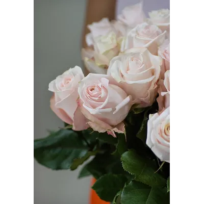 Моно букет цветов № 507