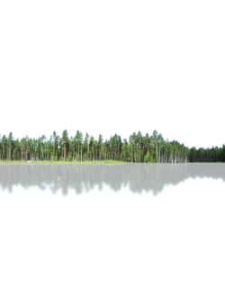 горизонт Деревья на горизонте 11