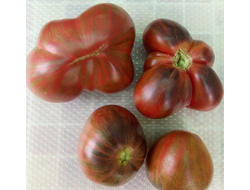 Томат Rebel Starfighter Prime (Мятежный звездный истребитель)