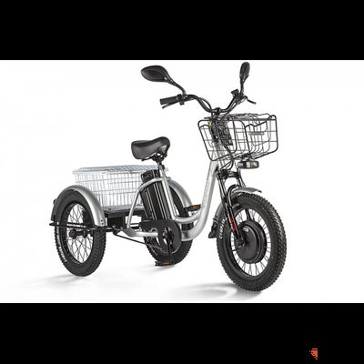 Трицикл Eltreco Porter Fat 500 Серый