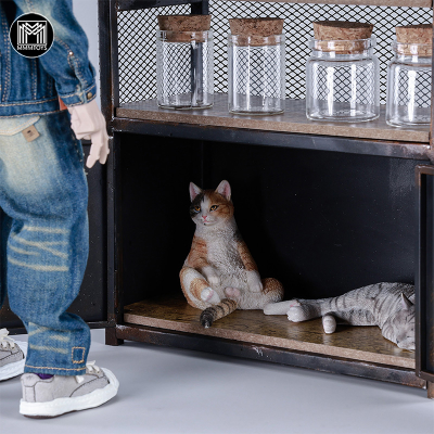 Шкаф 1/6 - КОЛЛЕКЦИОННАЯ ДИОРАМА 1/6 Wasteland Industrial Storage Locker (M2507) - MMMTOYS