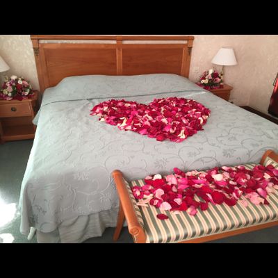 Оформление номера | ванной лепестками роз и цветами № 1494