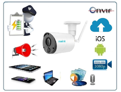 Reolink Argus Eco беспроводная всепогодная Wi-Fi видеокамера на аккумуляторе с DVR, Full HD (до 35 дней)