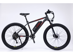 Электровелосипед Timetry DTT088 черный-красный