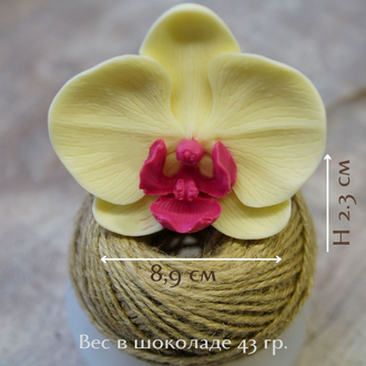 Молд Орхидея