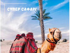 СУПЕР САФАРІ З ХУРГАДИ
