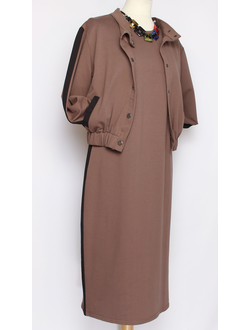 КОСТЮМ- ДВОЙКА1 "Лампас"какао р.46