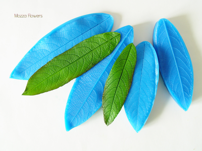 "Лист ивы" Силиконовый молд  (вайнер)