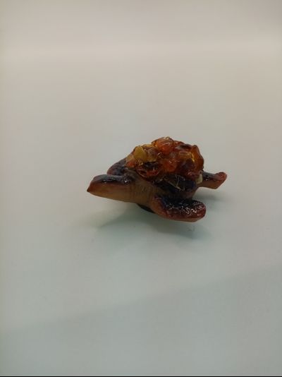 Сувенир - магнит черепаха