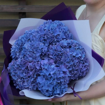 5 розовых гортензий