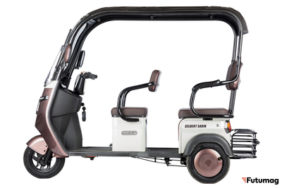 Электротрицикл Rutrike Gelbert Sarin 48V/60V 1000Вт коричнево-белый