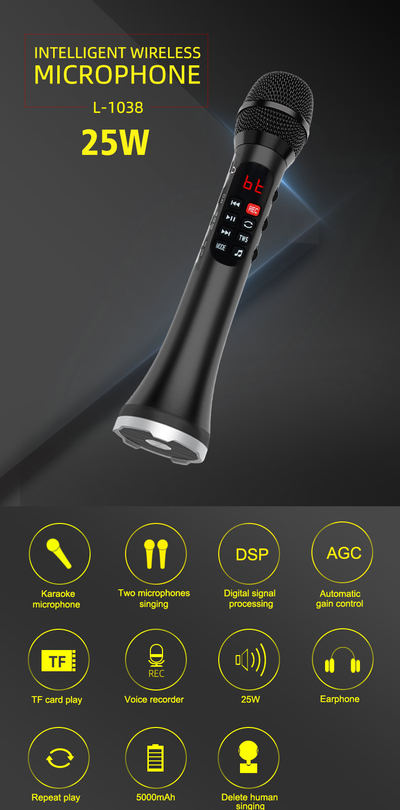 Профессиональный   караоке-микрофон      L-1038DSP  25w