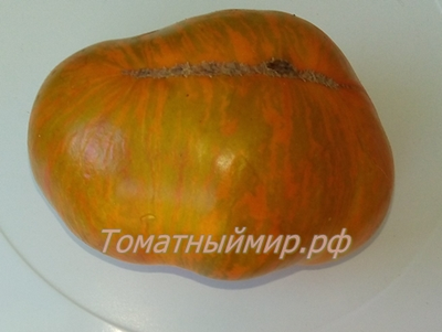 Томат гном Полосатый Джереми (Dwarf Jeremy’s Stripes), США