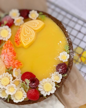 ЦВЕТОЧКИ РОМАШКИ