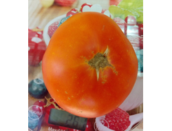 Томат Маризол золотой (Marizol Gold, Germany)