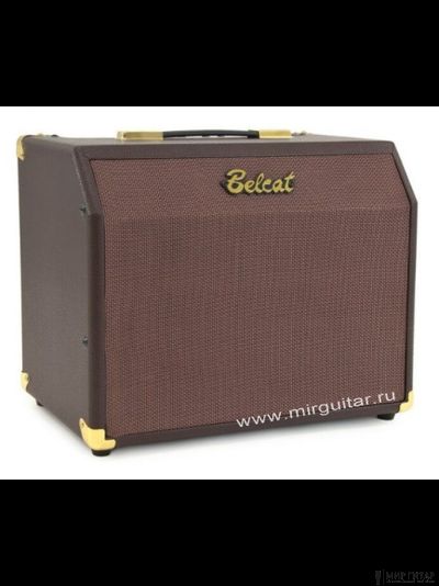 Belcat Acoustic-25RC