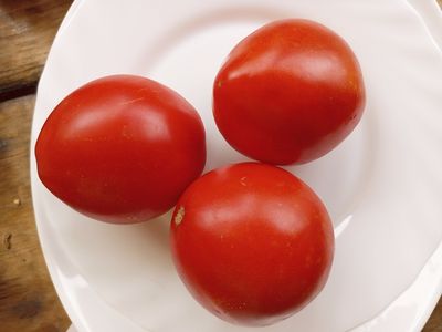 Томат Эм-чемпион