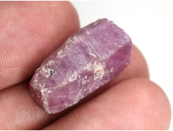 Корунд красный (рубин), кристалл, Мьянма (23*12*10 мм, 6,8 г) №36091