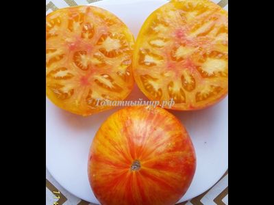 Томат Король красоты (Beauty King)