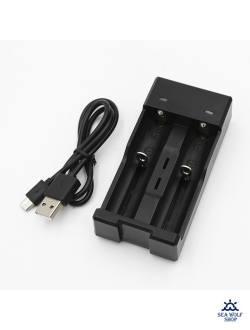 Зарядное устройство Li-Ion Charger USB 2