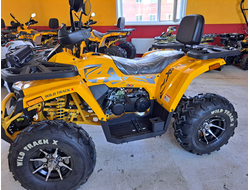 MOTOLAND ATV 200 WILD TRACK X PRO