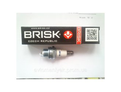 svecha-zazhiganiya-brisk-pr15y-garden-3022-wsr6f