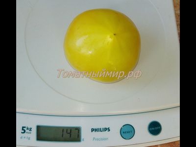 Томат Буденовка зеленая (Украина)