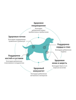 Grandorf Fresh сухой корм для собак средних и крупных пород с индейкой и бататом, 1 кг